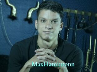 MaxHamintonn