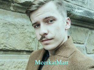 MeerkatMatt