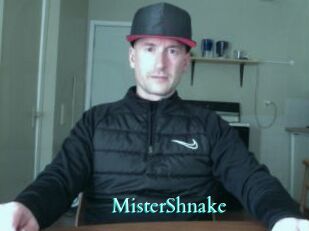 MisterShnake