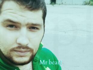 Mr_bear1