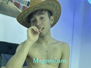 Magnussbane