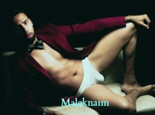 Maleknaim