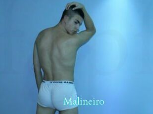 Malineiro