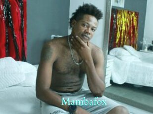 Mambafox