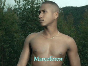 Marcoforest