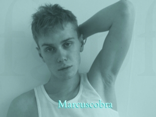 marcuscobra Free Gay Porn Finder