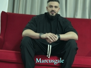 marcusgale Free Gay Porn Finder