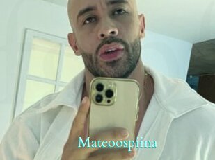 Mateoospiina