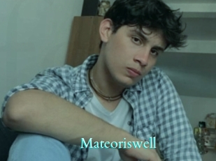mateoriswell Free Gay Porn Finder