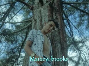 Mathew_brooks