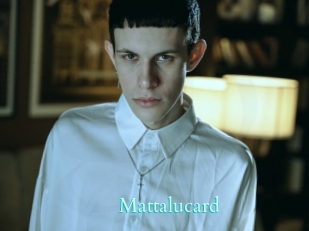 mattalucard Free Gay Porn Finder