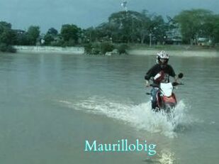 Maurillobig