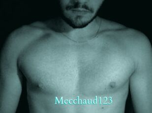 Mecchaud123