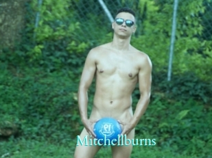 Mitchellburns