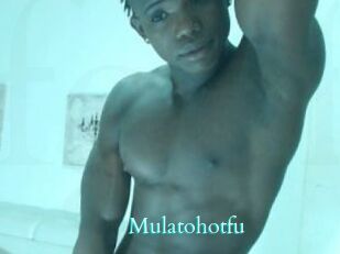 Mulatohotfu