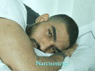 Narcisonefer