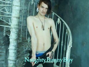 NaughtyBunnyBoy