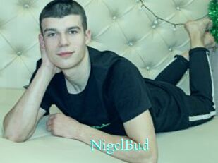 NigelBud