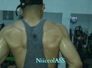 NiiccolASS