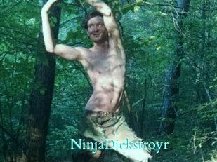 NinjaDickstroyr