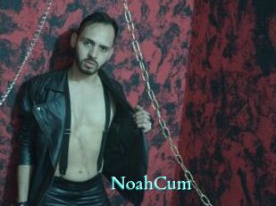 NoahCum