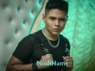 NoahHarris