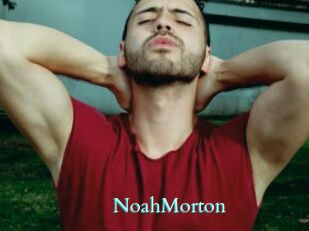 NoahMorton