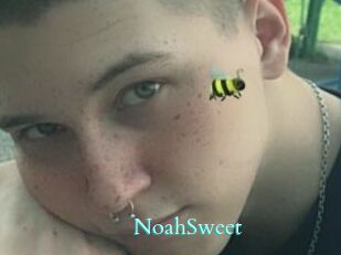 NoahSweet