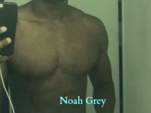 Noah_Grey