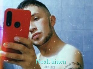 Noah_kitten