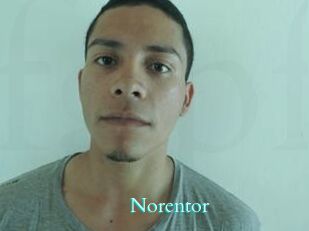 Noren_tor