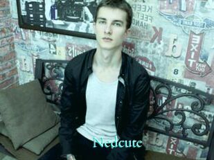 Nedcute