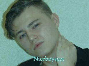 Niceboyscot