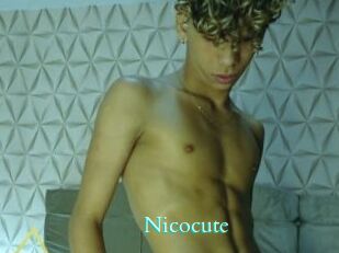 nicocute Free Gay Porn Finder