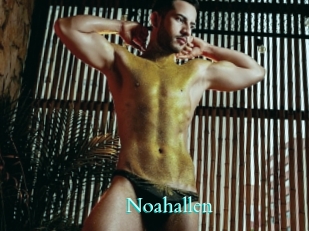 Noahallen