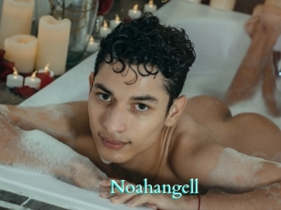 Noahangell