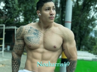 Noaharris19