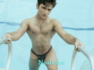 Noaheden