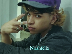 noahfelix Free Gay Porn Finder