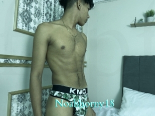 Noahhorny18