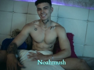 noahmush Free Gay Porn Finder