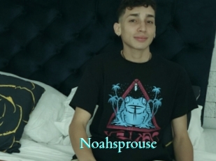 Noahsprouse
