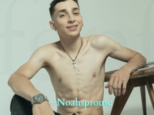 Noahsprouse