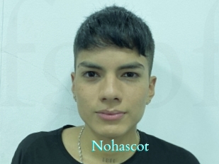 nohascot Free Gay Porn Finder