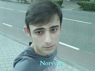norystay Free Gay Porn Finder