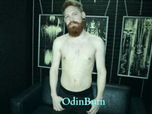 OdinBurn