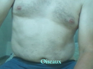 Oiseaux