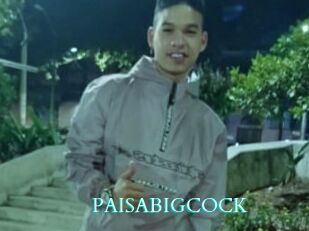 PAISABIGCOCK