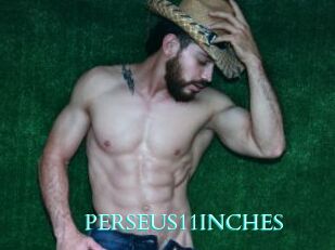 PERSEUS11INCHES