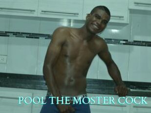 POOL_THE_MOSTER_COCK